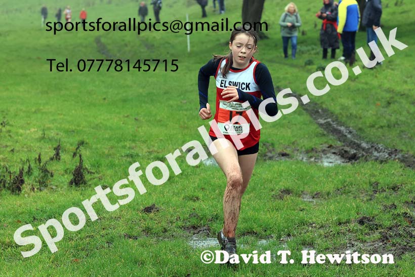 Girls under-13s 2023 NECAA Cross Country Relays, Thornley Hall Farm, Peterlee, County Durham. Photo: David T. Hewitson/Sports for All Pics